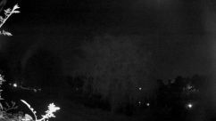 Rosarium Webcam
