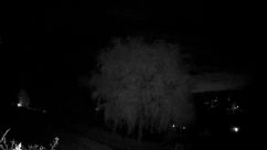 Rosarium Webcam