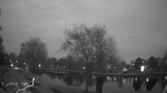 Rosarium Webcam