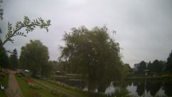 Rosarium Webcam