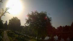 Rosarium Webcam