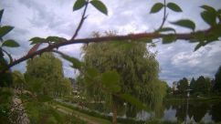 Rosarium Webcam