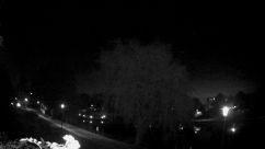 Rosarium Webcam