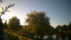 Rosarium Webcam