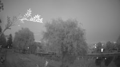 Rosarium Webcam