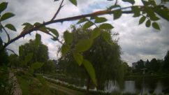 Rosarium Webcam