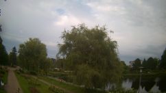 Rosarium Webcam