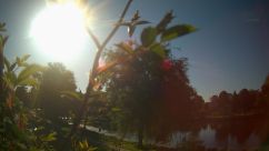 Rosarium Webcam