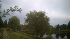 Rosarium Webcam