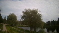 Rosarium Webcam