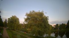 Rosarium Webcam