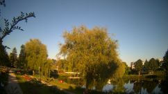 Rosarium Webcam