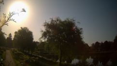 Rosarium Webcam