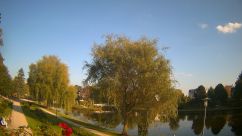 Rosarium Webcam
