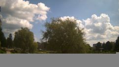 Rosarium Webcam