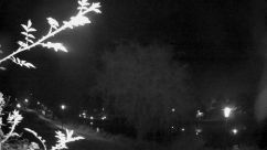 Rosarium Webcam