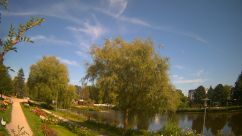 Rosarium Webcam