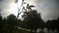 Rosarium Webcam