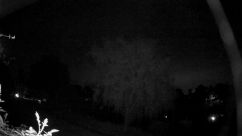 Rosarium Webcam