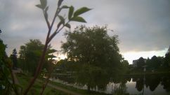 Rosarium Webcam