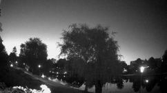 Rosarium Webcam