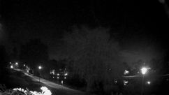 Rosarium Webcam
