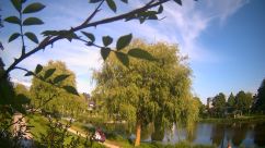 Rosarium Webcam