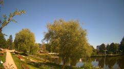 Rosarium Webcam