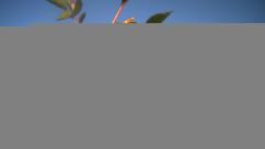 Rosarium Webcam