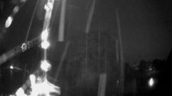Rosarium Webcam