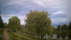 Rosarium Webcam