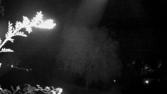 Rosarium Webcam