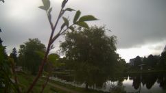 Rosarium Webcam