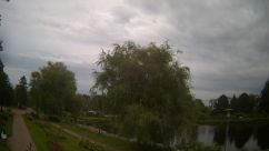 Rosarium Webcam