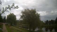 Rosarium Webcam