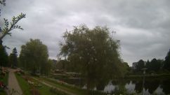 Rosarium Webcam
