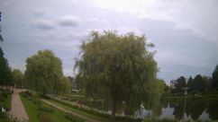 Rosarium Webcam