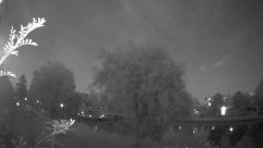 Rosarium Webcam