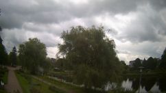 Rosarium Webcam