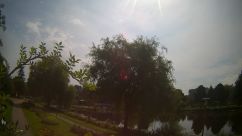Rosarium Webcam