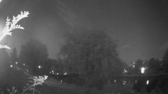 Rosarium Webcam
