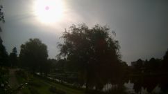 Rosarium Webcam