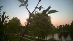 Rosarium Webcam