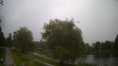 Rosarium Webcam