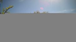 Rosarium Webcam