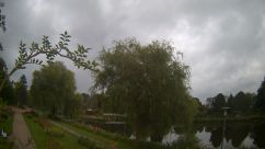 Rosarium Webcam