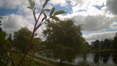 Rosarium Webcam