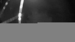 Rosarium Webcam