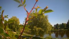 Rosarium Webcam