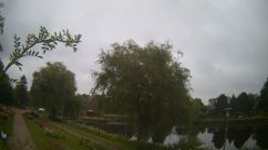 Rosarium Webcam
